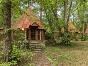 عکسی از بهترین هتل های آمل